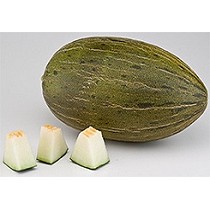 Semillas de Meln Piel de Sapo