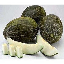 Semillas de Meln Piel de Sapo