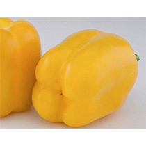 Semillas de Pimientos de California