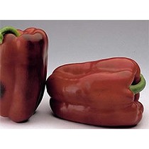 Semillas de Pimiento Lamuyo