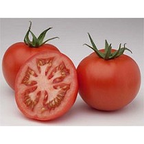 Semillas de tomate de calibre medio