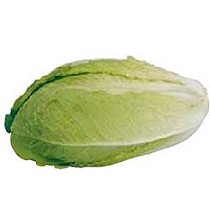 Semillas de lechuga romana