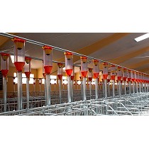 Dosificadores de boya