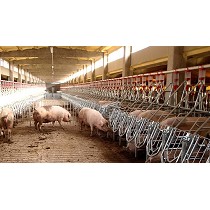 Boxes de libre acceso