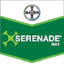 Fungicidas Bayer Serenade Max