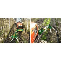 Cepillo alineador de rama