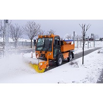 Vehculos multiservicio