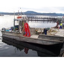 Gras hidrulicas marinas