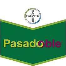 Fungicidas Bayer Pasadoble