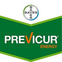 Fungicidas Bayer Previcur Energy