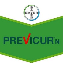 Fungicidas Bayer Previcur N