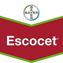 Insecticidas Bayer Escocet