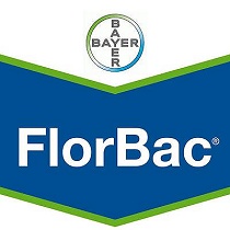 Insecticidas Bayer FlorBac