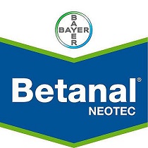 Herbicidas Bayer Betanal Neotec
