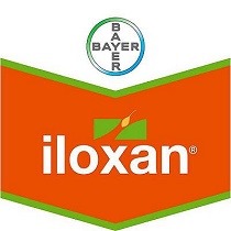 Herbicidas Bayer Iloxan