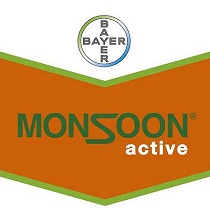 Herbicidas Bayer Monsoon Active