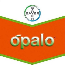 Herbicidas Bayer Opalo