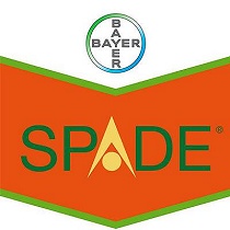 Herbicidas Bayer Spade