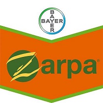 Herbicidas Bayer Zarpa