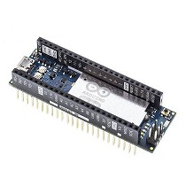 Placas de desarrollo