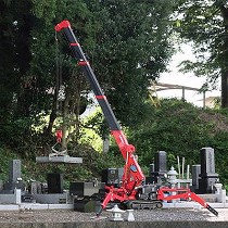 Minigras compactas tipo araa