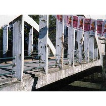 Aditivo inhibidor de la corrosin