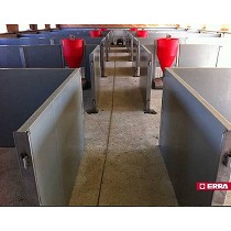 Tolvas destete para cerdas