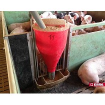 Tolvas para engorde y WTF