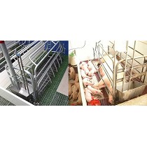 Comederos individuales