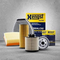 Filtros para automviles y vehculo industrial/profesional