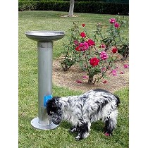 Fuentes bebederos universales