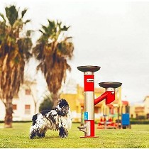 Fuentes bebederos urbanas