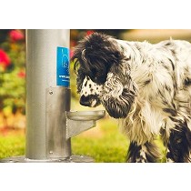 Fuentes bebederos urbanas