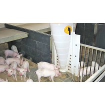 Comederos con ngulos para deslizamiento de alimento