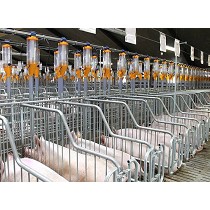 Tolvas de alimentacin