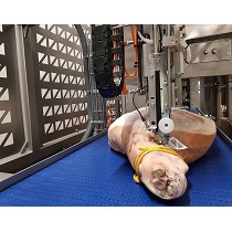 Pesaje y etiquetado de jamones