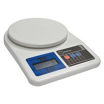 Balanzas de precisin