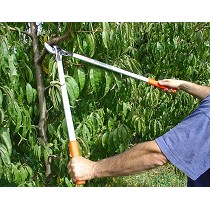 Tijeras manuales dos manos