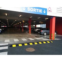 Regulador de velocidad modular