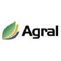 Mojantes y dispersante tensoactivo