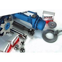 Cardanes y componentes