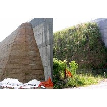 Sistemas de contencin de terrenos