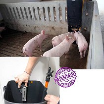 Tolvas de cebo para el ayuno correcto