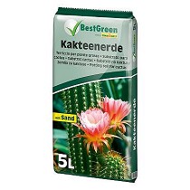 Substrato para cactus