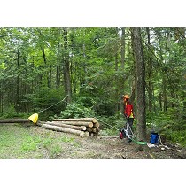 Cabestrantes porttiles a gasolina