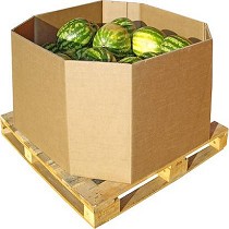 Embalajes de cartn laminado