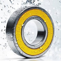 Rodamientos inoxidables