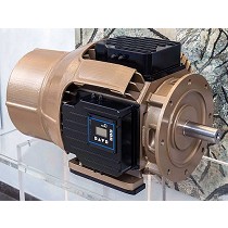 Prototipo de motor sncrono