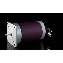 Motor con electrnica de control integrada