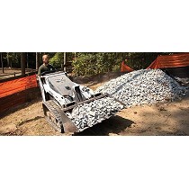 Minicargadoras de orugas